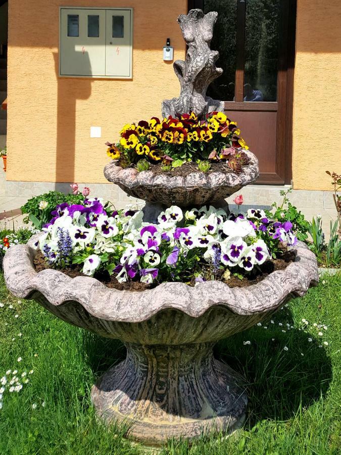 Guesthouse Ana&Ljubo Rastovača Kültér fotó
